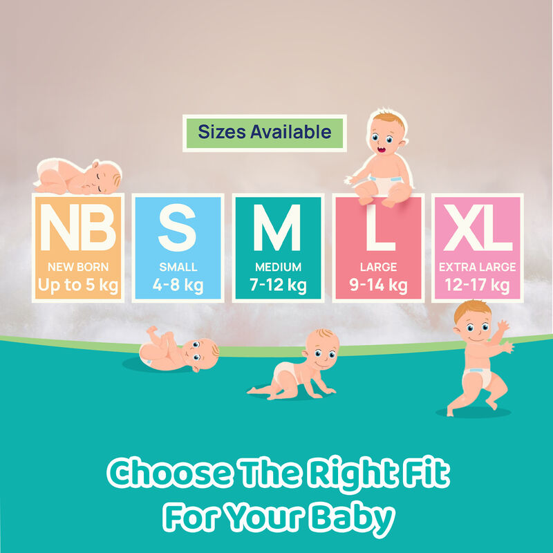 Comfypro Pants New-Born 24 Pc image number 6